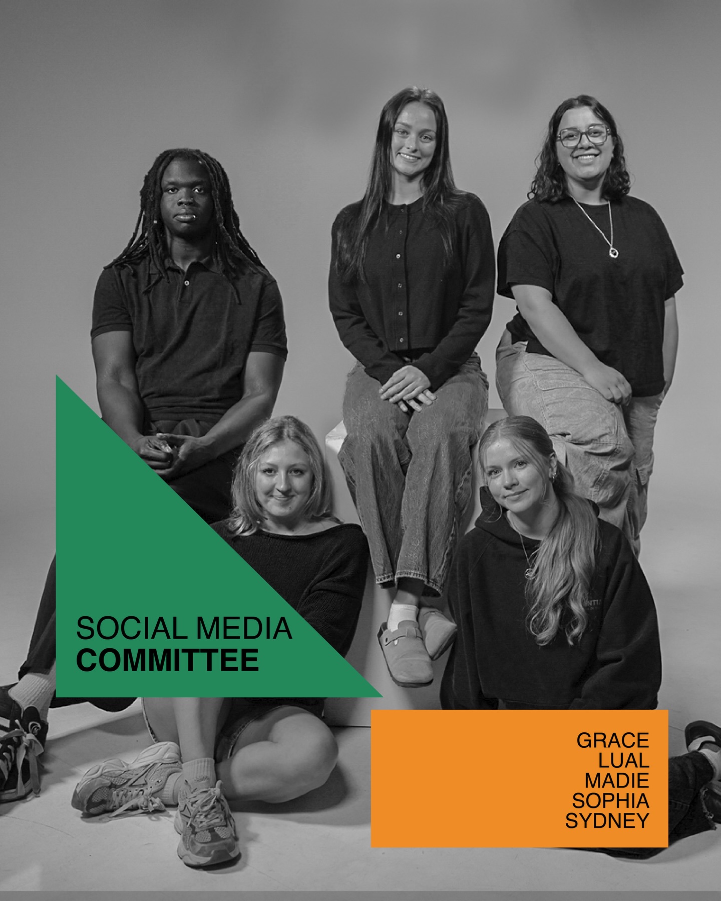 Assembled social media committee